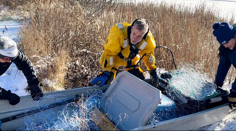 Loon rescue